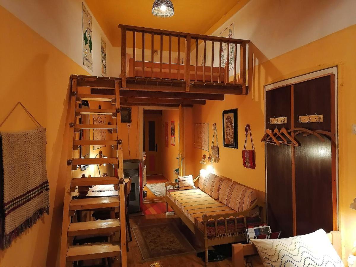 Hotel Base For Adventurers - Urban Guerrilla Negotin Esterno foto