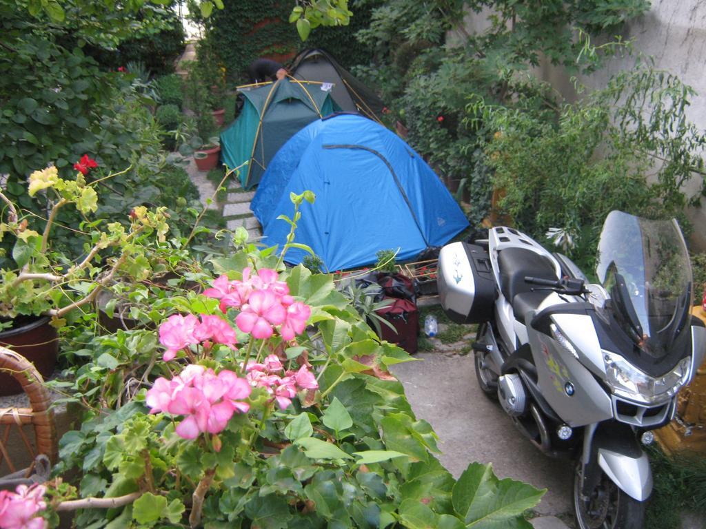 Hotel Base For Adventurers - Urban Guerrilla Negotin Esterno foto